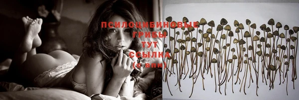 дурь Белоозёрский